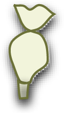 Piping Bag Icon