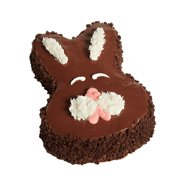 Chocolate Bunny Ice Cream Cake