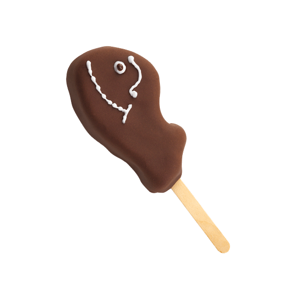 fudgie pop